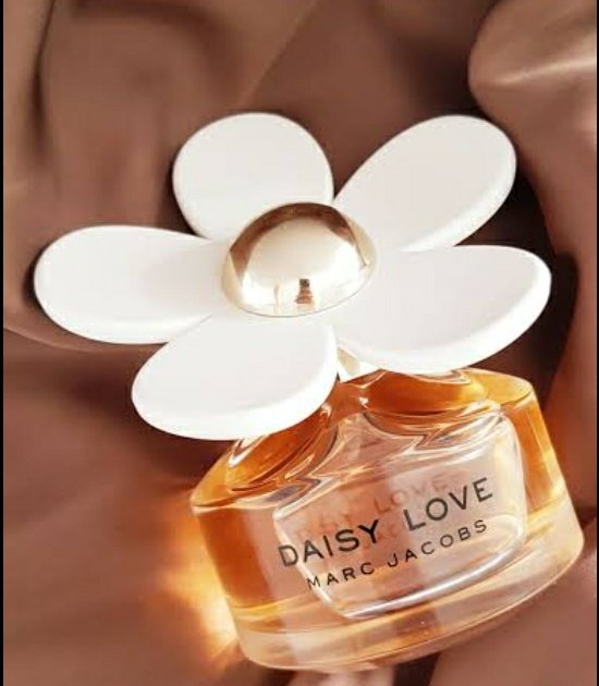 ocean_motunui's tweet image. ㅤ⠀ㅤ  ㅤ⠀ 
ㅤ⠀ㅤ  ㅤ⠀ ⊱ roses ⚘ αre rosıe ⊰
ㅤ⠀ㅤ  ㅤ⠀#Mᴀʀᴄ𝑱αcobs𝓟erfume