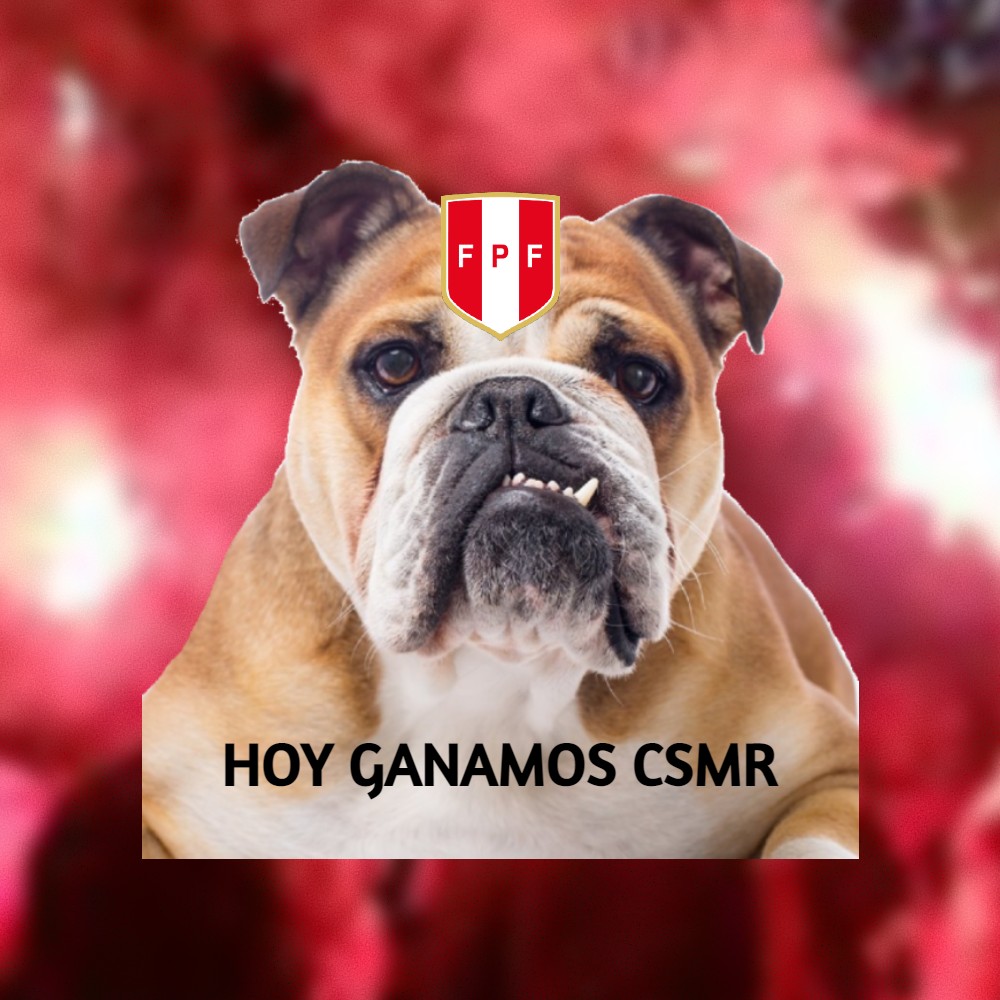 MariaMC16351239's tweet photo. #PeruvsBrasil 
Hoy ganamos por que ganamos csmr 🇵🇪💗 https://t.co/fohVf5hsYh