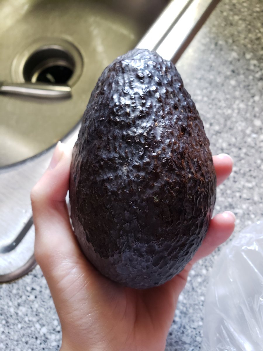 MaddieMeta's tweet photo. Alright it took a full day Godzilla marathon on the 4th of July for me to realize that Godzilla is actually an avocado....
#godzillamarathon #avacado #GodzillaVsKong https://t.co/ubslgW6e9x