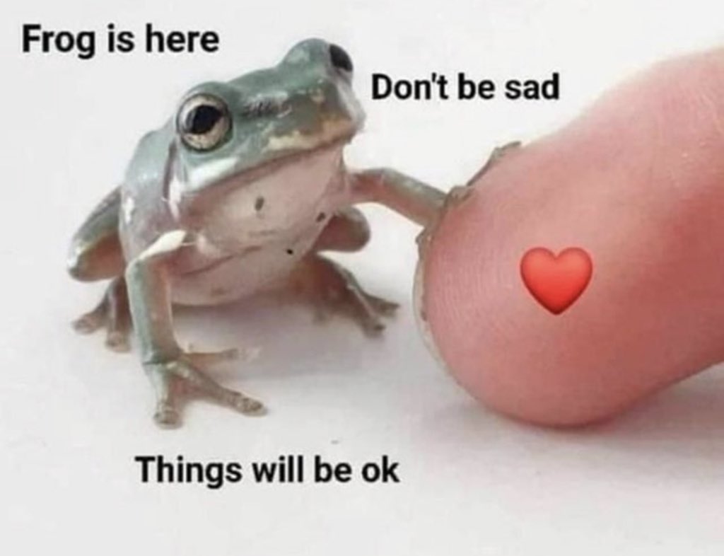 RespectfulMemes's tweet photo. https://t.co/mEvwHC1kQf