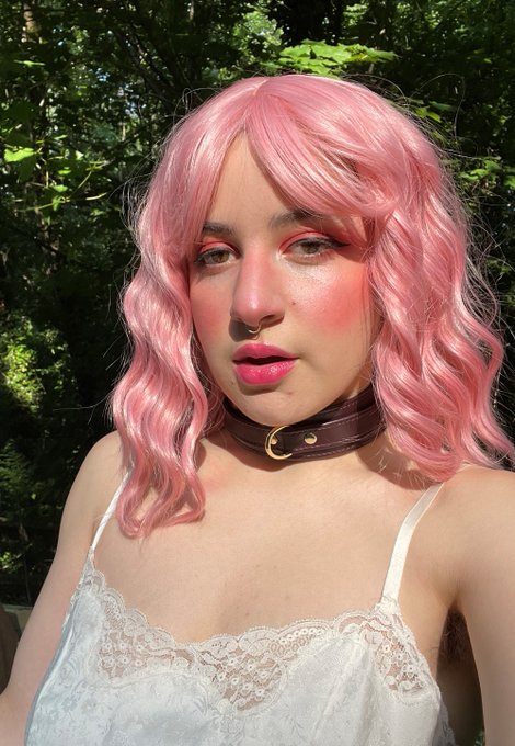 1 pic. 🌿Went for a little summer walk🌿 https://t.co/cyoEDhSRE6