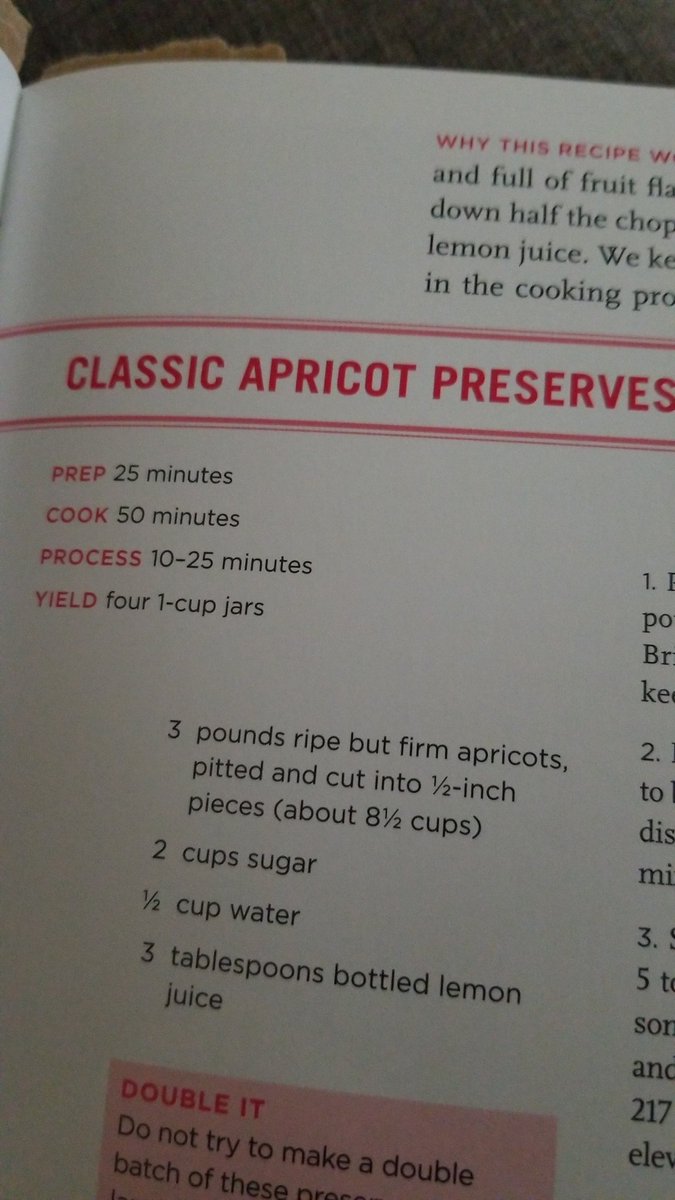 Sara Theurer tweet media