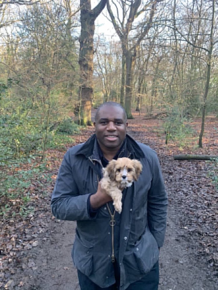 My whole family would be heartbroken if someone stole our dog. Staggered the <a href="/Conservatives/">Conservatives</a> voted against creating a new specific offence to tackle pet theft tonight. We should be working cross-party to stop this appalling crime. #PolicingBill