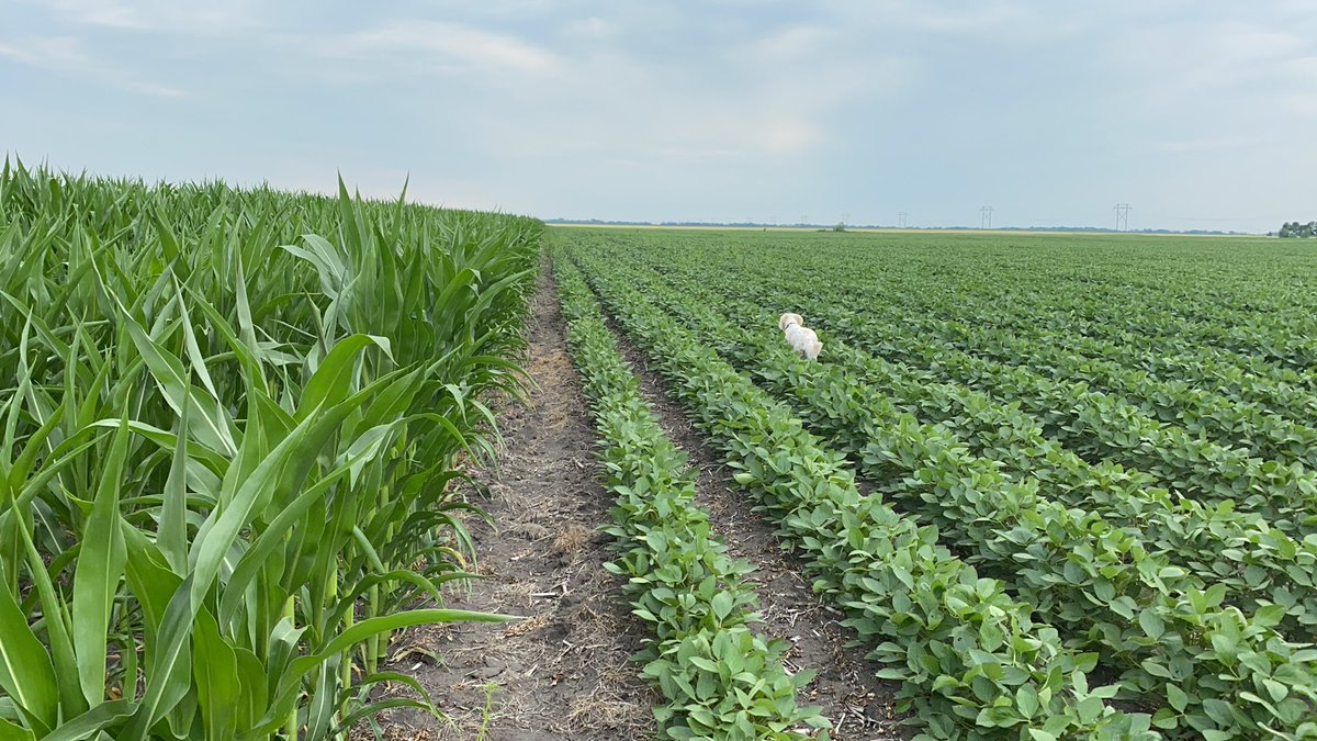 NDSCS_Ag's tweet image. Things look good at the #Landlab