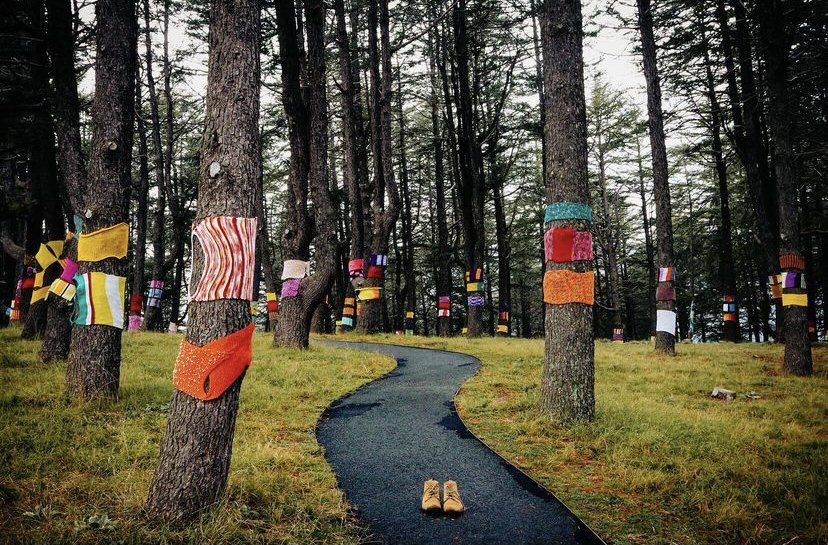 sofranksocial's tweet photo. You know winter is here when the @NationalArboretumCanberra trees get wrapped up in their winter woollies.
A big thank you to @snapsbysal for sharing with #sofranksocial
#wearecbr #cbrregion #Canberrawinter #visitcanberra https://t.co/IqtUupyPJ3
