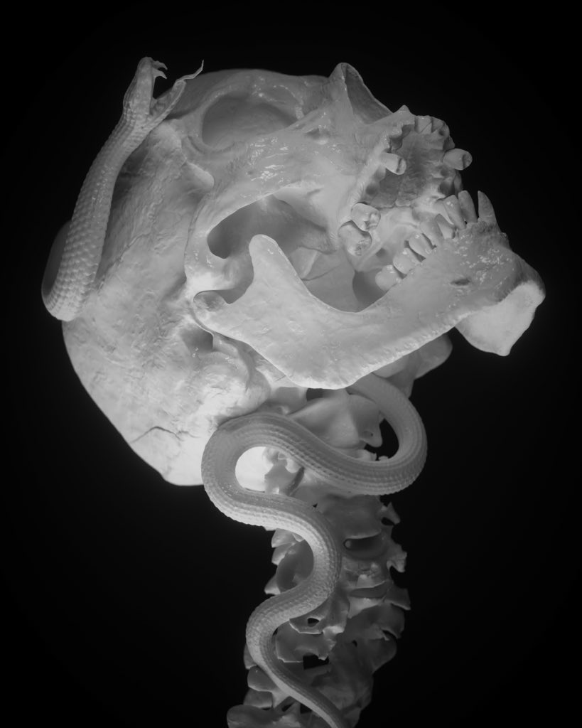 I love the purity of a clay render 🤍 