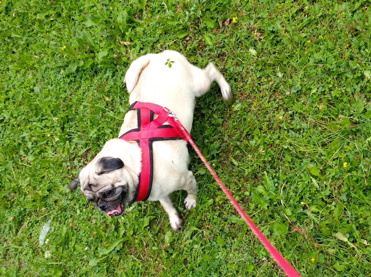 GÖDMDE Bİ ŞE  VAR GÖDMDE Bİ ŞE VARR