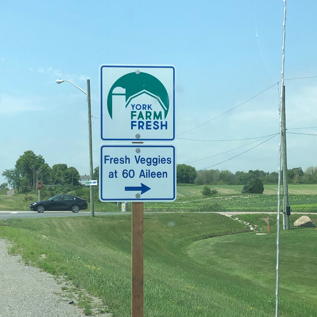 eekfarms's tweet image. Look for this sign if you’re looking for #fresh #HollandMarsh #produce @YorkFarmFresh @marshgirl #lettuce #herbs #broccoli #vegetables #swisschard #kale @100kmFoods