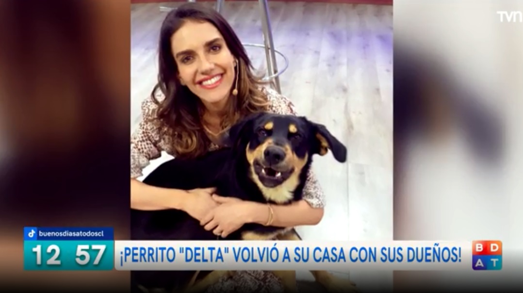 BuenosDiasTVN's tweet image. Perrito Delta volvió con sus dueños en San Joaquín. 

Comenta con #BuenosDíasTVN 

📡 Sigue la señal en vivo bit.ly/2GEY51C