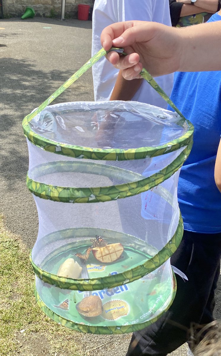 hackforthschool's tweet image. Farewell to our beautiful butterflies #infants #KS1 @Humanities2020