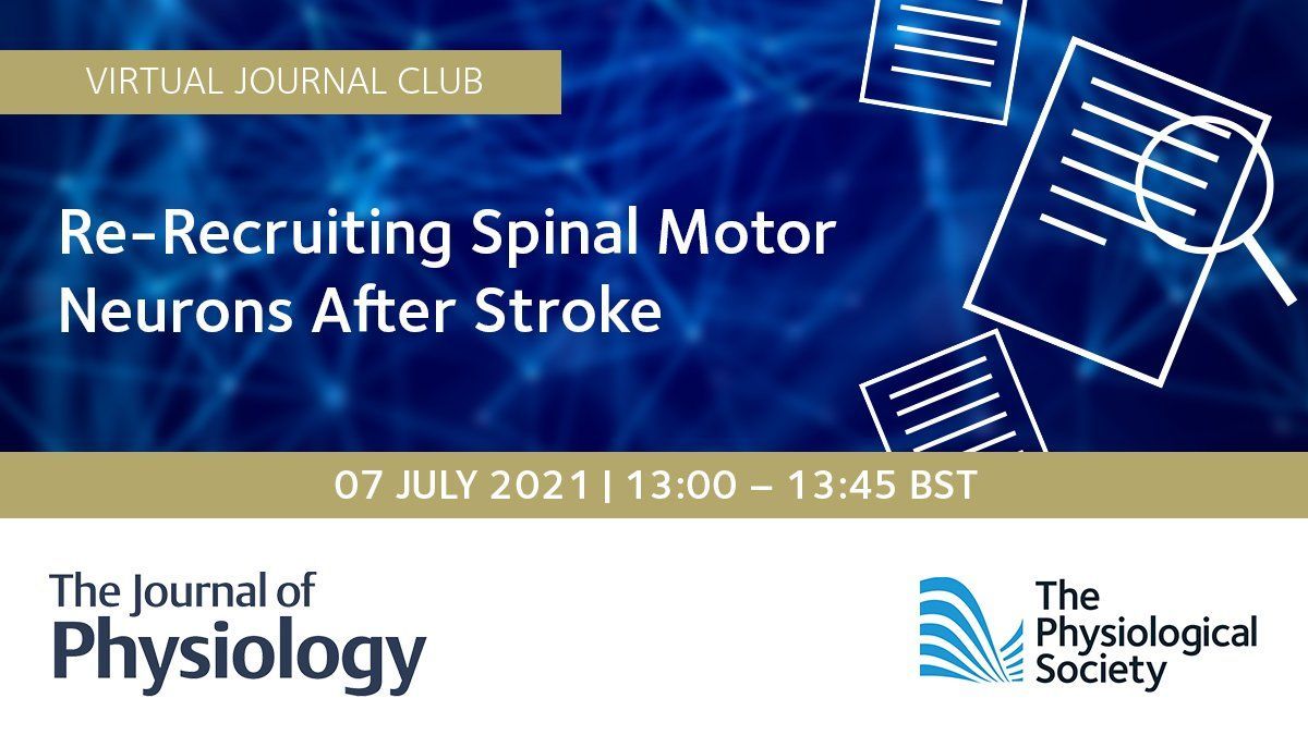 PhySoc's tweet photo. Registration for this week's #JPJournalClub will close in a few hours. Join the panel on Wednesday 7 July to explore a new paper from @JPhysiol investigating muscular recovery following stroke. Secure your spot now: https://t.co/MRnEmgoKDo https://t.co/kIrjx80RsI