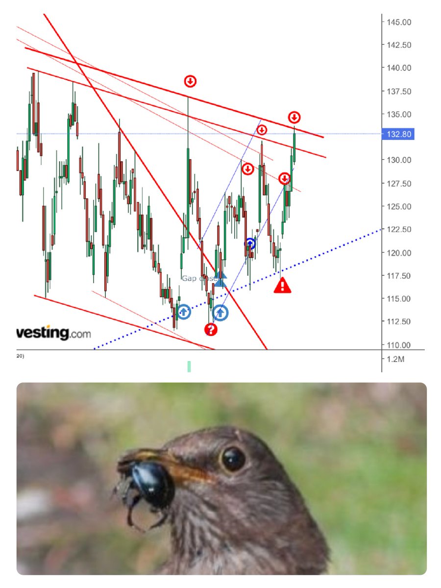 BuyAndHold tweet media