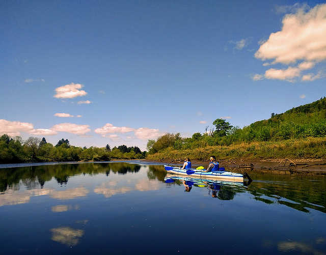 tours_perth's tweet photo. Last chance to join us for a guided river tour on the River Tay in Perth on SUNDAY 11th JULY AT 6PM.

https://t.co/1lMp0dUc7c https://t.co/TGHjxfdqha