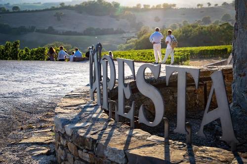 Ogni nome racconta una storia.

Roccapesta ci racconta di roccia e di sassi, di fortezze militari e di un luogo dominante.

Ci racconta di concretezza e di natura, un po' come quando l'uva era pestata con i piedi.

Roccapesta quindi, passione e tradizione in ogni bottiglia.