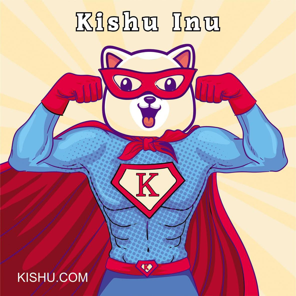 FLOKIARMYKING's tweet photo. Load your Bags, tomorrow we will have a good marketing Reversal.. #kishu the best community. https://t.co/O4mkbExt4T