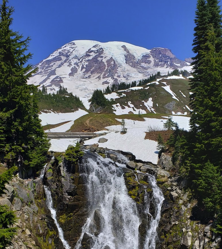 AlgaeIsLife's tweet photo. upcoming trip to Mt. Rainier, visiting Sunrise and Paradise to basically make my life :) getting some snow algae reflectance samples with scientists from CWU π #snowalgae #scienceart #mtrainier #reflectance #algaeart #climate #climateart https://t.co/pI1ZrCOl1k