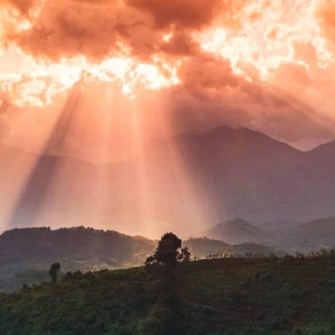 In3656's tweet image. #NewProfilePic