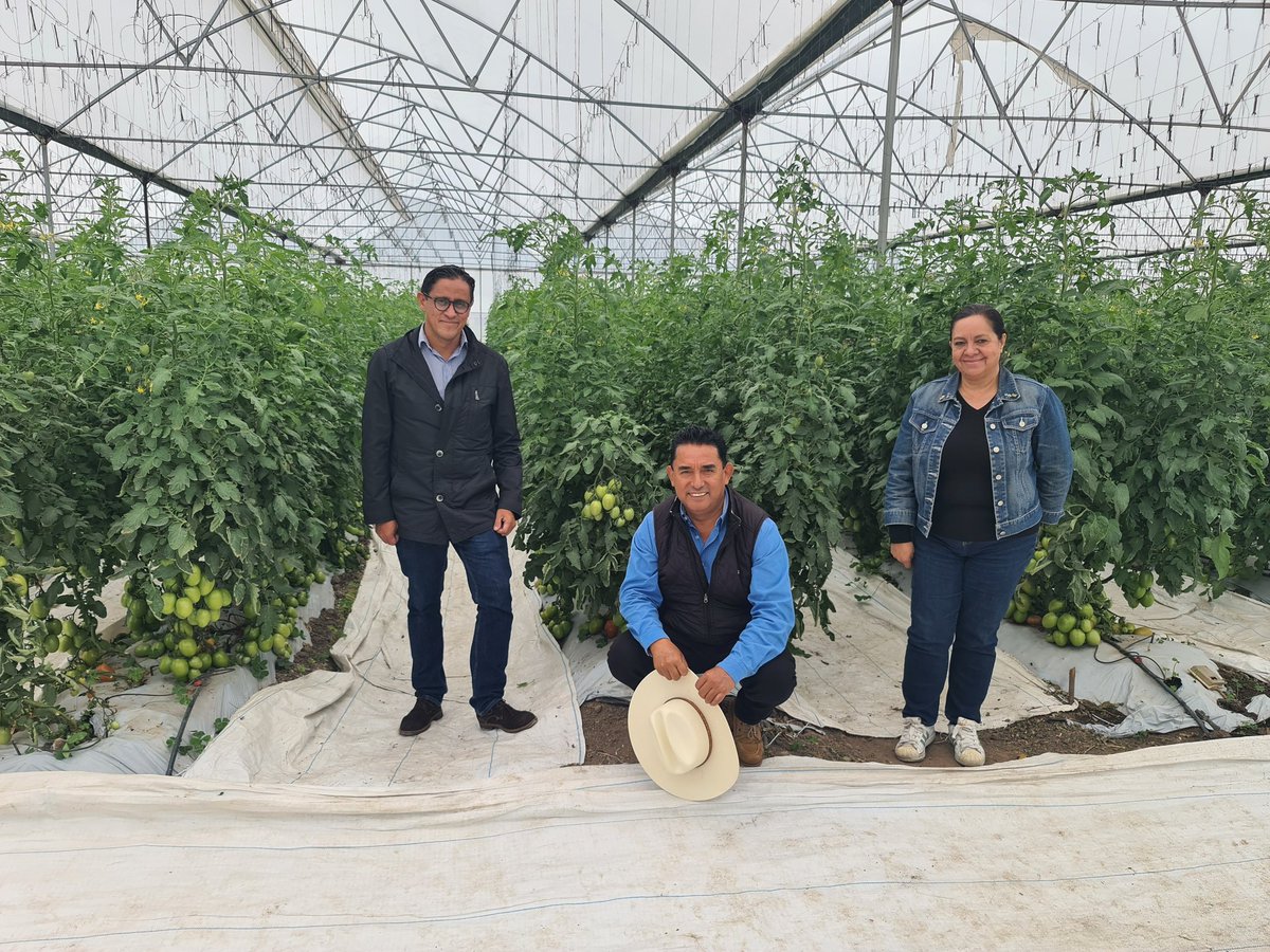 ConEsequiel's tweet photo. ,Visita de la ONU a la Tierra Donde Deseo Vivir. 
El cooperativismo sostenible, puesto en marcha, el reto; producir alimentos orgánicos, utilizando energías limpias y renovables, la agroecologia como punto de partida.
 !Que nadie se quede atras! @fira @FAOMexico @Agenda2030MX https://t.co/GB1cdsnEcd