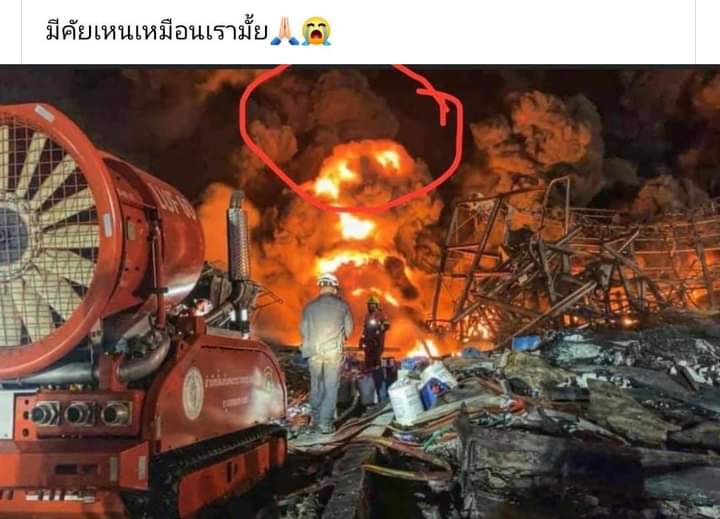 แบกหมีหนีประยุทธ์ ||| tweet media