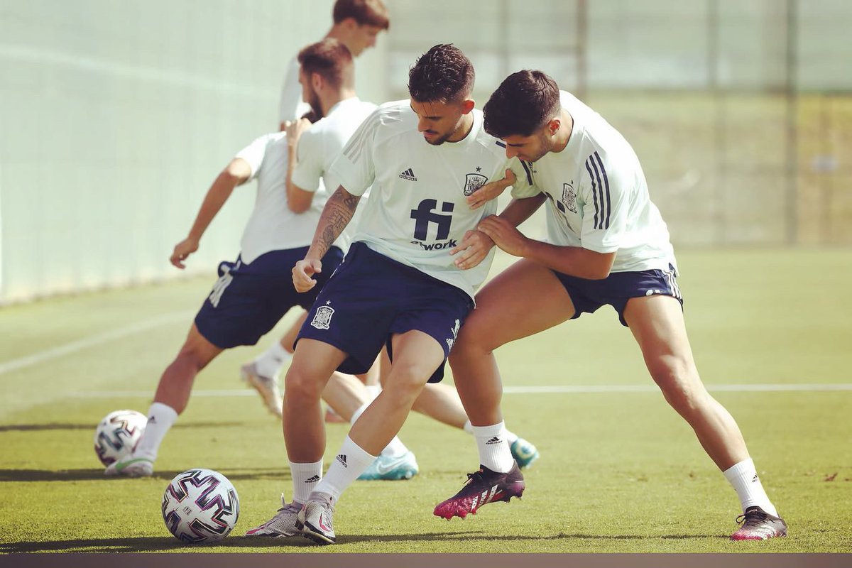 DaniCeballos46 tweet picture