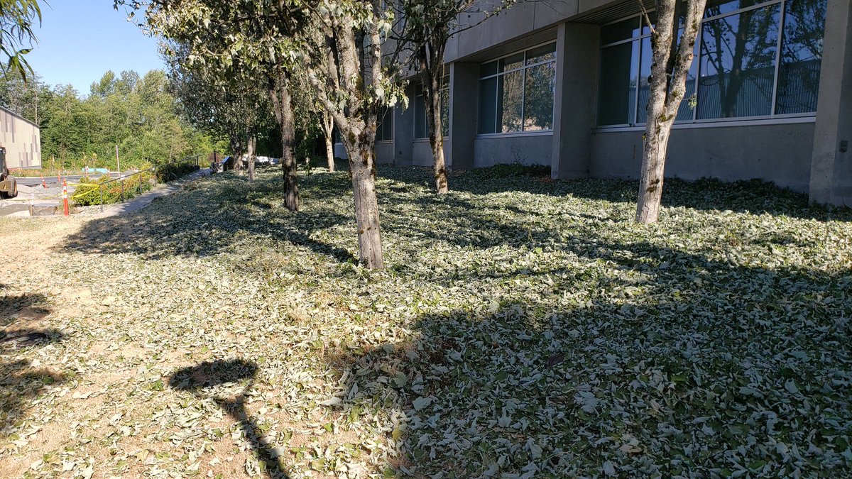 Pat Taylor tweet media