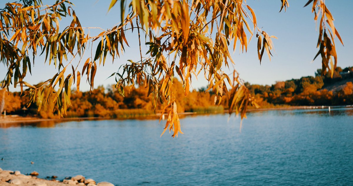 Working on color grading.  
Step by step.