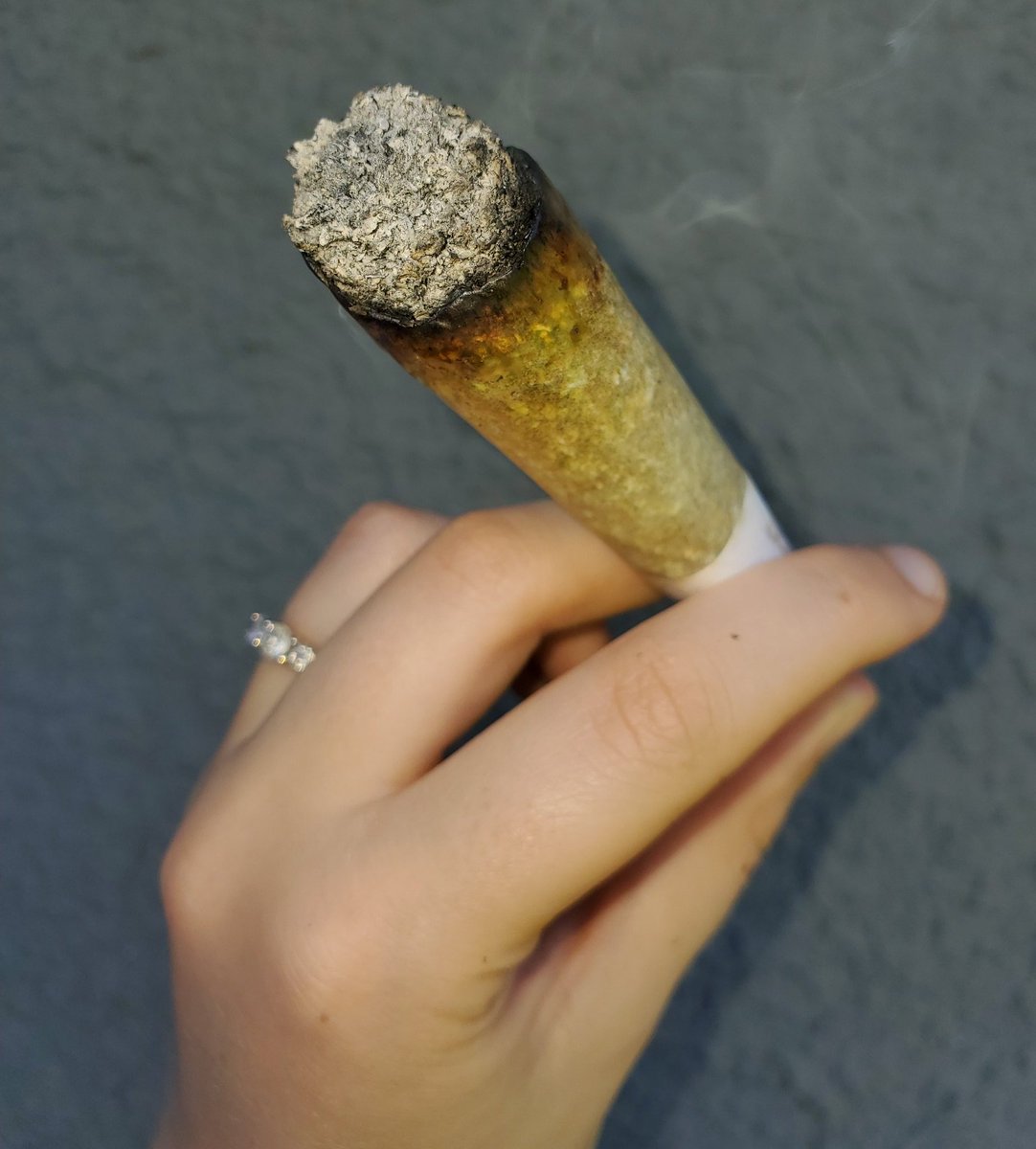 mastertokes's tweet photo. Happy Monday, hope you wake n baked!  💚💨

#vibes #cubano #whiteash #mastertokes https://t.co/dagweeuTWC