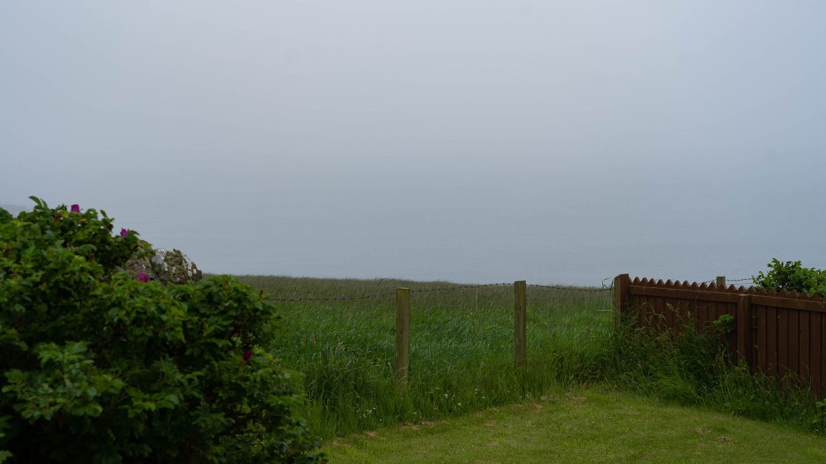 rossmackenzie's tweet photo. Monday evening - office view. #Shetland #verymisty https://t.co/Ysb0kYLGL4