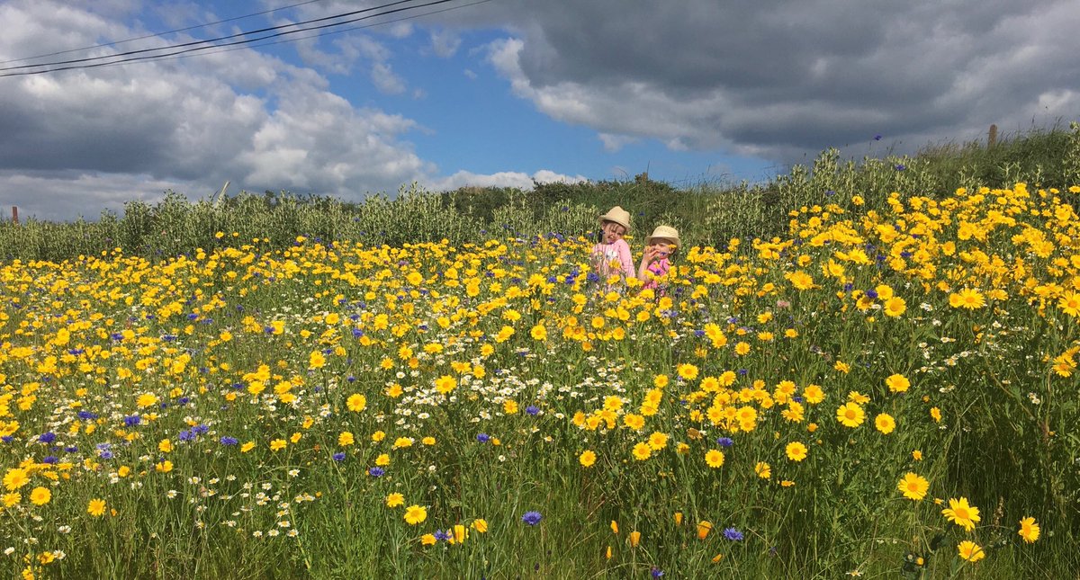 James Draper tweet media