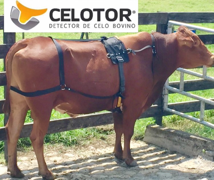 #iot para la #Ganaderia