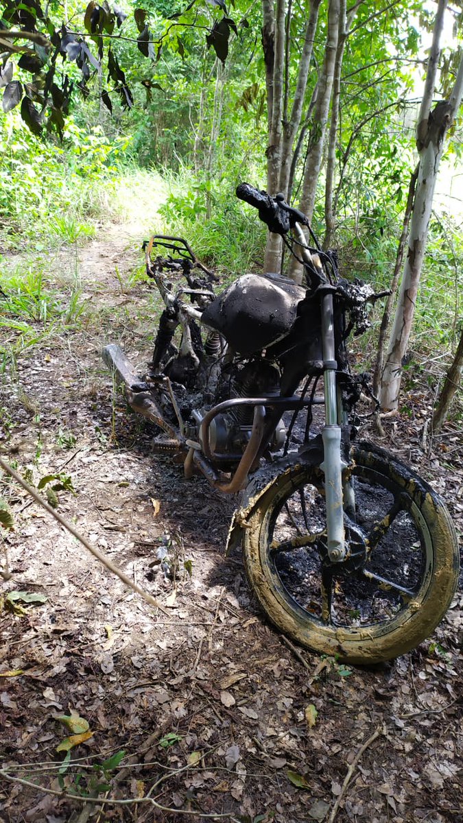 armestonelson's tweet photo. Esta es la huella de la barbarie. Quienes hablan de paz y tranquilidad, hoy quemaron en San Valentín corregimiento de San Sebastián Magdalena la moto de Libardo Villarruel Avendaño campesino de la Colombia Humana para evitar que siga sembrando su alimento.
Él campesino escapó. https://t.co/HXd0XrmBbG