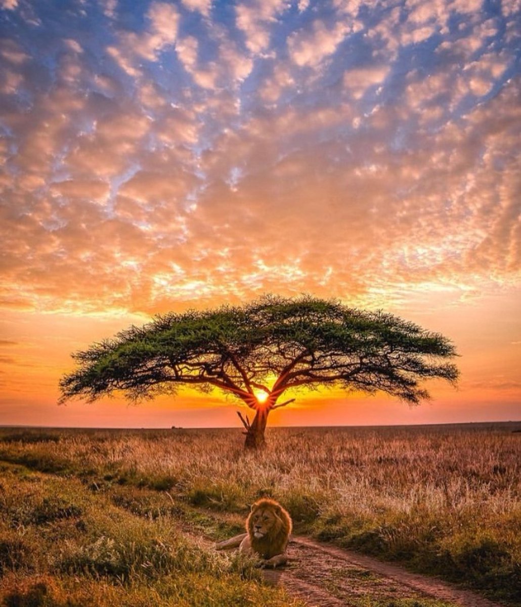 Emy Nerisa (@nerissaemy_520) on Twitter photo 