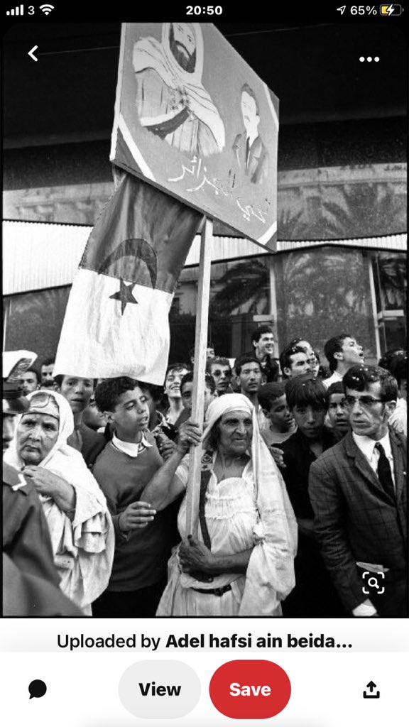 🇩🇿🇩🇿 happy Independence Day 🇩🇿🇩🇿