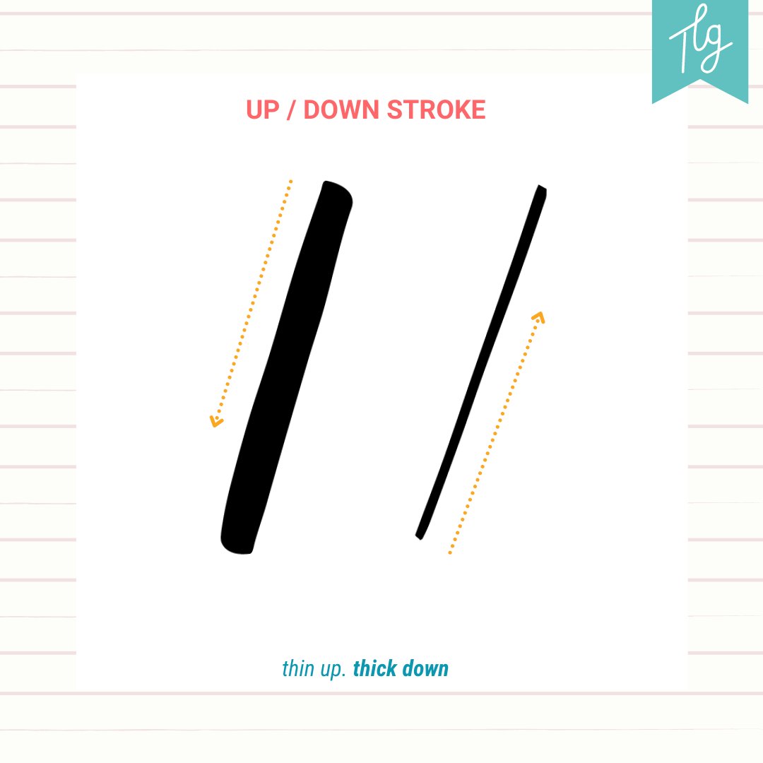 letteringoddess's tweet image. 𝘾𝙖𝙡𝙡𝙞𝙜𝙧𝙖𝙥𝙝𝙮 𝙛𝙤𝙧 𝘽𝙚𝙜𝙞𝙣𝙣𝙚𝙧𝙨 | 𝙐𝙥/𝘿𝙤𝙬𝙣 𝙎𝙩𝙧𝙤𝙠𝙚

- write slowly and lightly going up for a thin stroke.
- Press down with pressure to create a thick stroke.

#tlgcalligraphy #calligraphyph #calligraphytutorial #calligraphydrills #brushcalligraphy