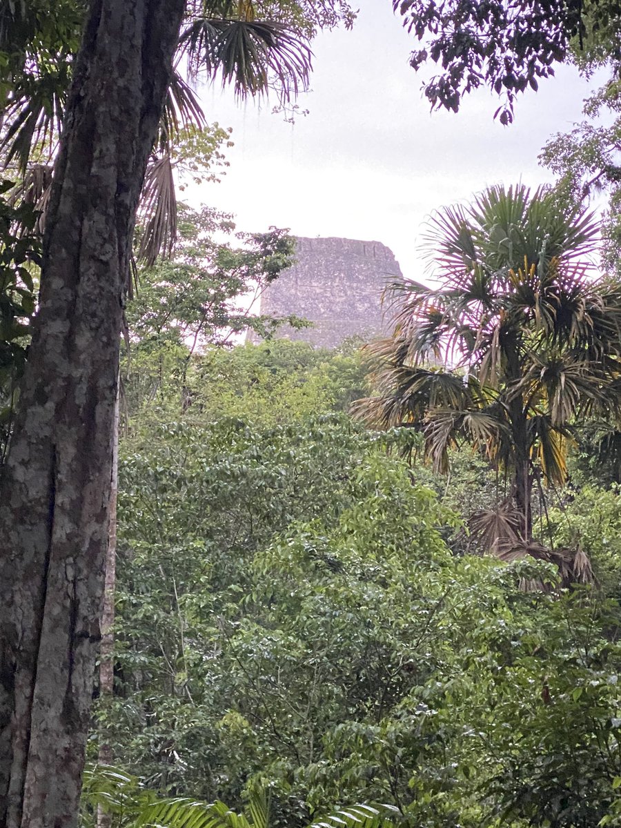 Mi Petên querido, Pisote en #Tikal #FranciscoCano #MaravillasdeGuatemala #Amanecer  #ParaisoÚnico #GoPetén #Naturaleza #Fotogalería #FotosDeGuatemala #PlayaYSol  #FotosParaElMundo #FotoÁerea #FotosNocturnas #Fotos360 #VisitGuatemala #PerhapsYouNeedALittleGuatemala