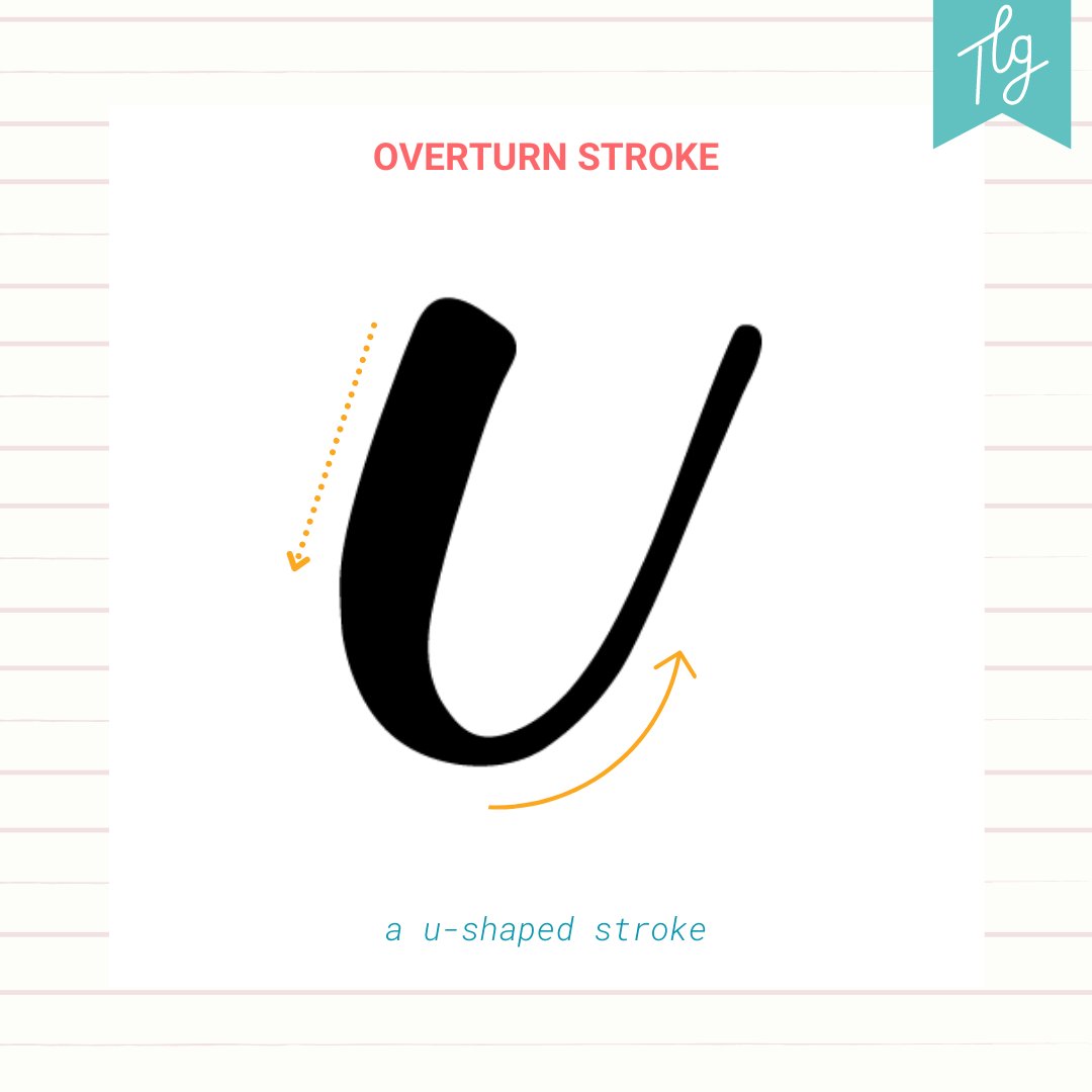 letteringoddess's tweet image. 𝘾𝙖𝙡𝙡𝙞𝙜𝙧𝙖𝙥𝙝𝙮 𝙛𝙤𝙧 𝘽𝙚𝙜𝙞𝙣𝙣𝙚𝙧𝙨 | 𝙐𝙣𝙙𝙚𝙧𝙩𝙪𝙧𝙣 𝙎𝙩𝙧𝙤𝙠𝙚
a u-shaped stroke

- start with a thick downstroke going up into a light upstroke

#tlgcalligraphy #calligraphyph #calligraphytutorial #calligraphydrills #brushcalligraphy