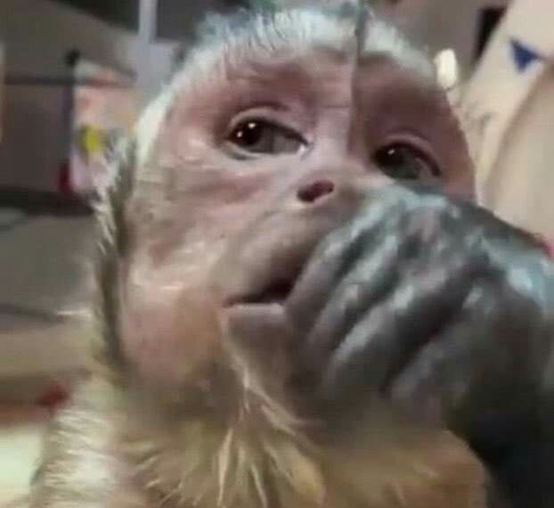 hannilecte's tweet photo. por isso que coisas muito tecnológicas me estressam! a tv é nova mas o controle tá aqui falhando se fosse TV boa com botao dava pra ir lá e trocar mas cade botao dessa fina velha ein ein aaaah lascou https://t.co/cnAskMi9kH