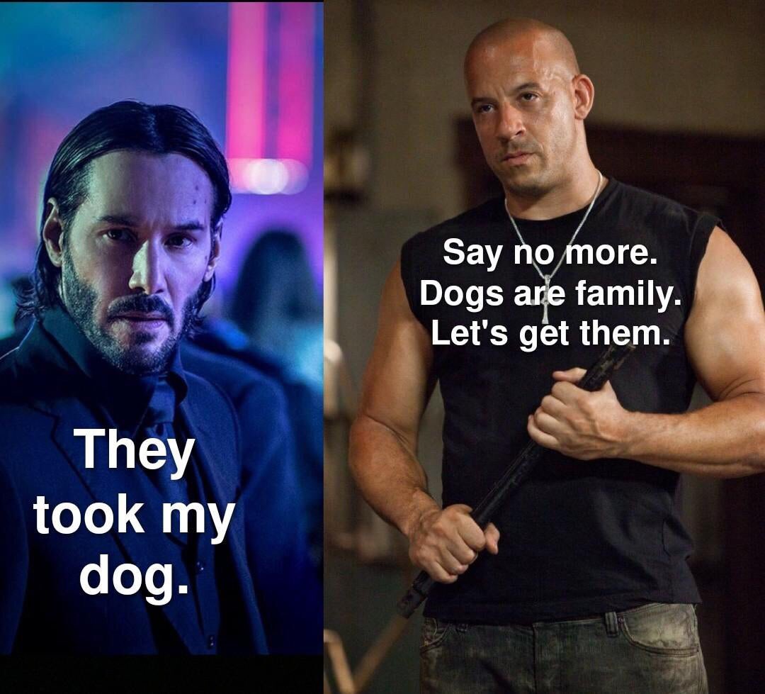 ShivamParker's tweet image. Vin Diesel in John Wick universe.
