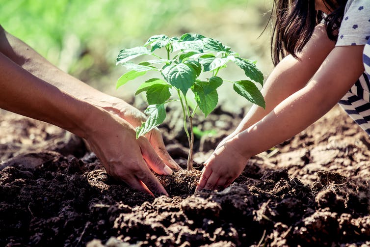JacksonFunerals's tweet photo. Jackson’s are looking to the future and addressing their #carbonfootprint by forming a partnership with eTrees 🌱
Please read our latest blog, 'In partnership with eTrees':
https://t.co/ct29kkkfXc
#etrees #funeraldirector #carbonoffsetting #funerals #worcestershirehour https://t.co/wsl4L8yJJc