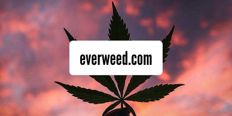brandmo's tweet image. everweed.com

Forever weed! Premium Cannabis domain registered in 2013 now available for sale! #everweed #weed #cannabis #marijuana #cbd #domain #domains #domainname #domainnames #domainbrokerage #domainnameforsale #brandnaming

Inquire at