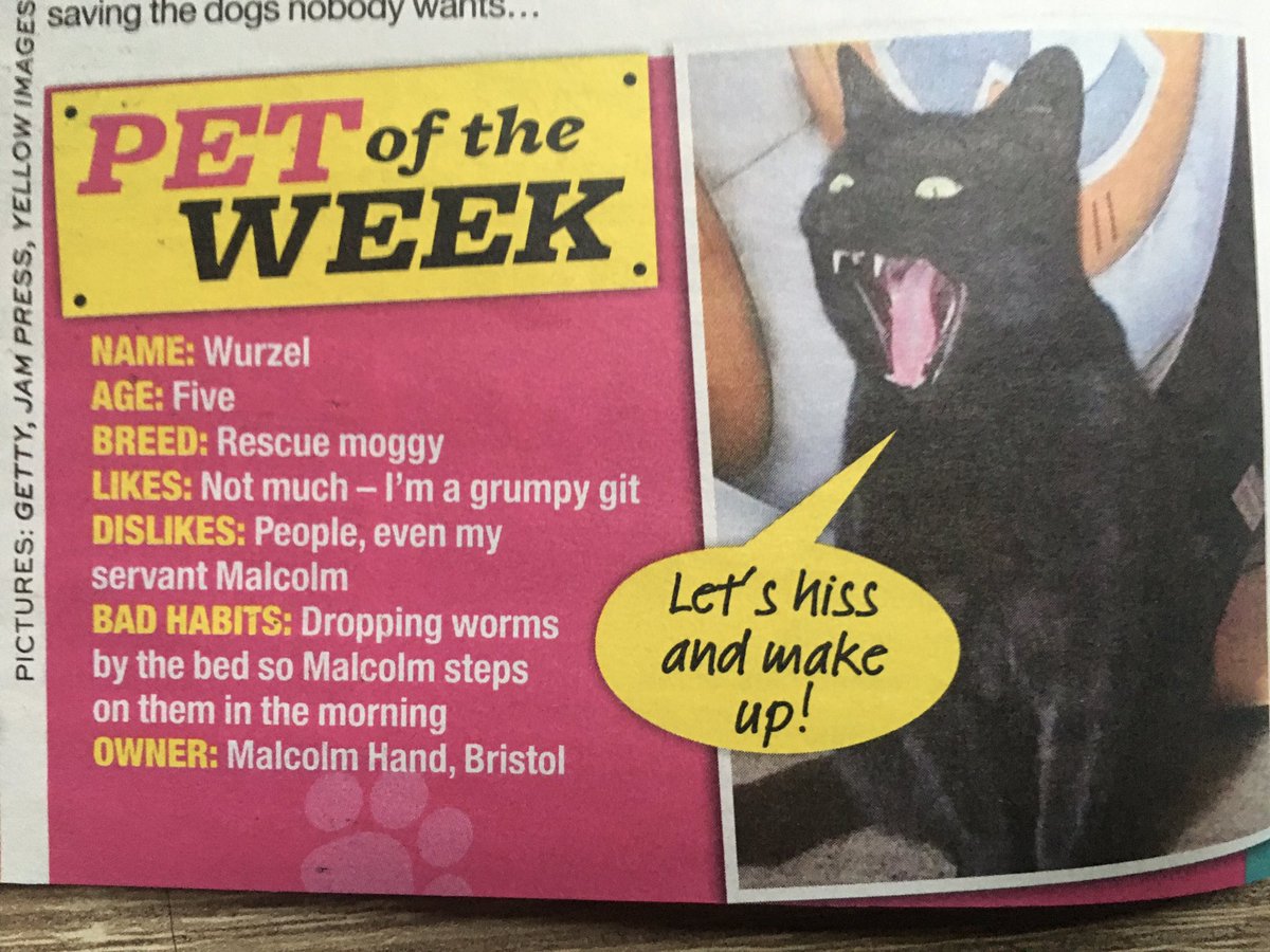 In other news, apart from #borrisisaprick, Wurzels reputation got him into <a href="/RealPeopleMag/">Real People</a> . I’m not telling him as he will get worse 🤣 <a href="/GinaMLewis84/">Georgina Lewis 💙</a> <a href="/midwifeMaryLyn/">Mary Lynch☘️🇮🇪</a> <a href="/jonesy_lynz/">Lyndsey 💙</a>