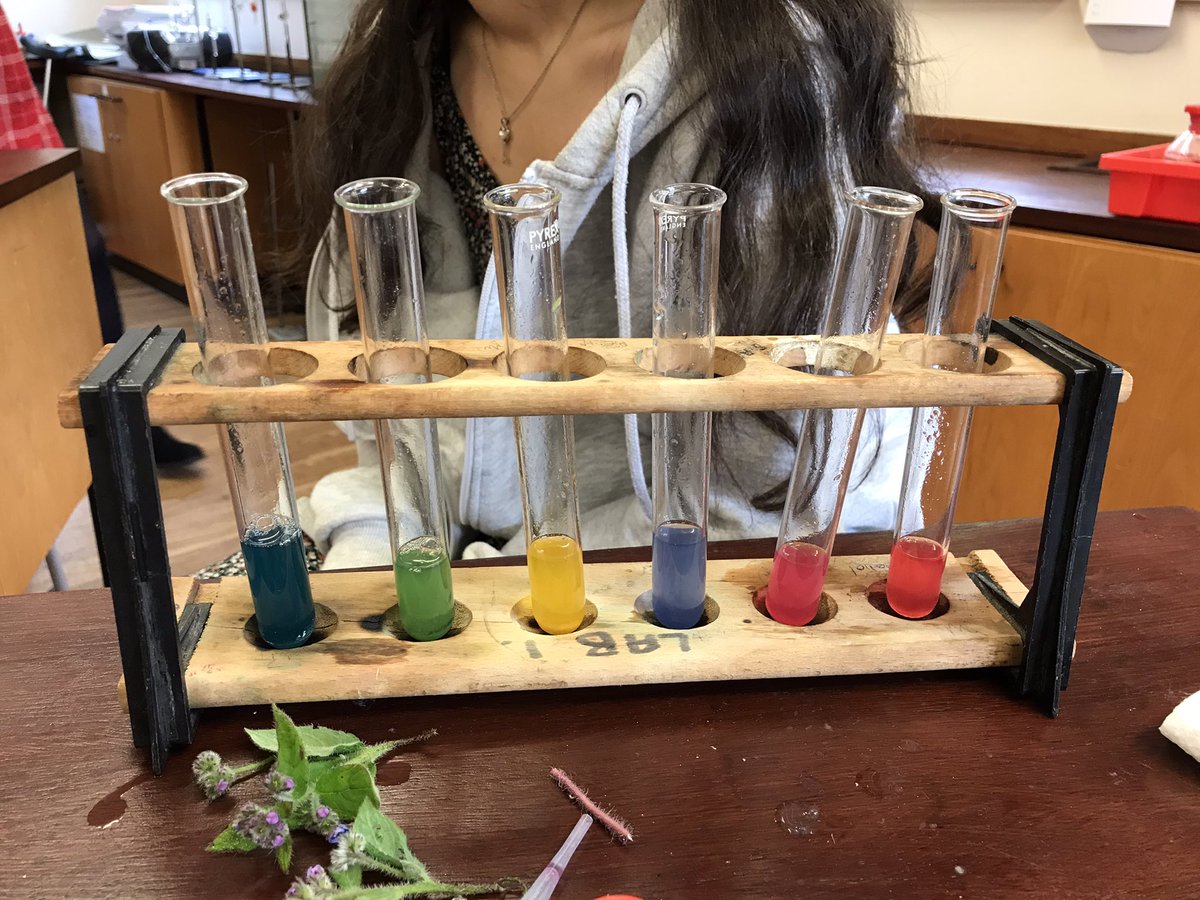 Rye Science tweet media