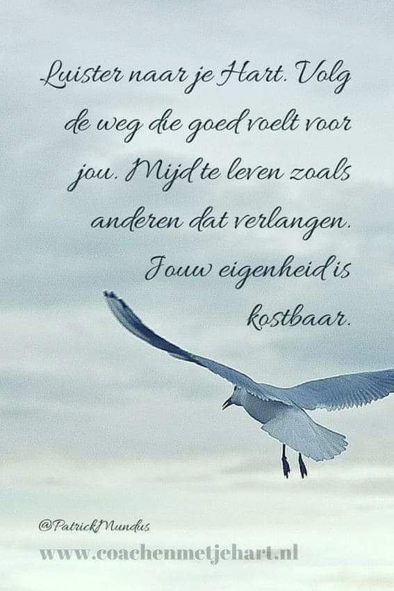 Beppie Kokke tweet media