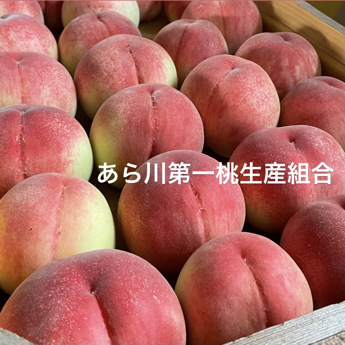 あら川第一桃生産組合 Arakawadai1 Twitter
