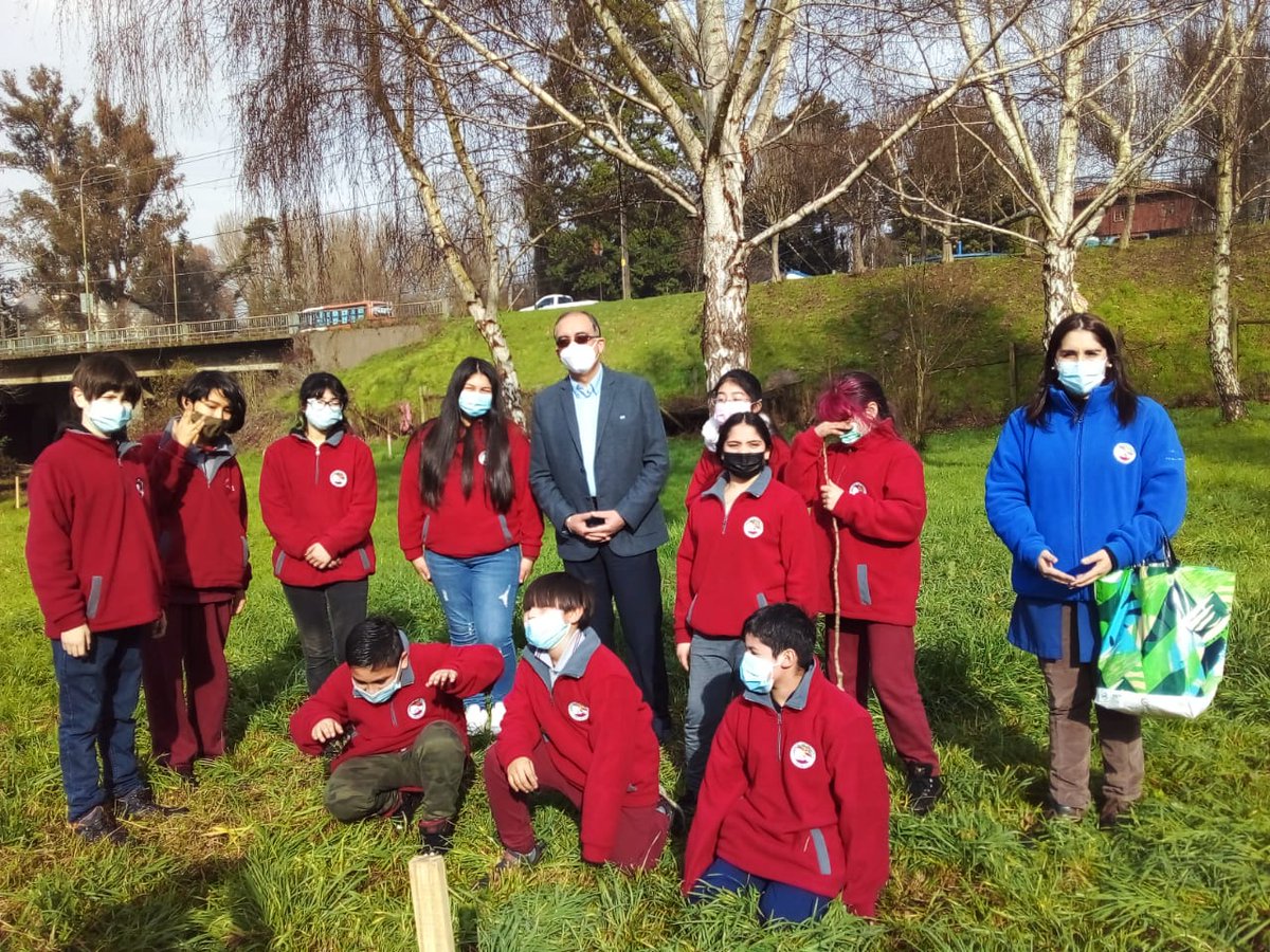 osornotvmas's tweet photo. 50 árboles de Coihue fueron plantados en Parque Chuyaca. Iniciativa nace de la Red Ambiental Ciudadana en conjunto con alumnos y alumnas del Colegio Antillanca, actividad en la que participó alcalde @emeterioalcalde que renovó su compromiso con la protección del medio ambiente. https://t.co/Hzf7bce2kD