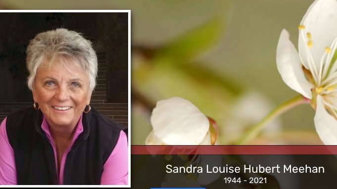 Extending our condolences to the family and friends of Sandra Hubert Meehan. Sandra passed away on June 24th, just shy of her 77th birthday. Jodie learned a lot from Sandra and her mom, both integral in the success of what our business is today ❤️👼 

colefuneralservices.com/tribute/detail…
