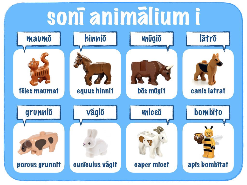 tutubuslatinus's tweet photo. quid dicit vulpes? What does the fox say? https://t.co/Rv0ybpvoaC