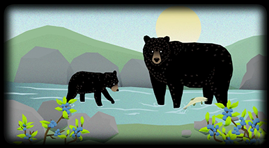 Reduce Problem Bears
Garbage, outdoor grills, and bird feed commonly attract bears. 
Often a bear is just passing through, and if it does not find a food source it will simply move on.
visit: ontario.ca/bearwise prince.ca