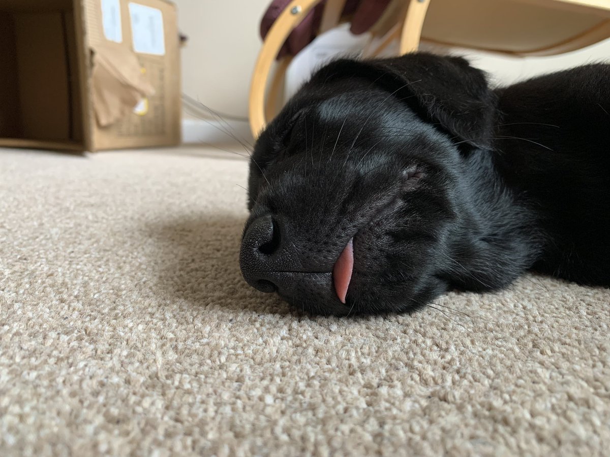 MudCrew™ tweet media