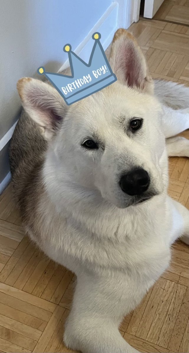 vicflo415's tweet photo. Happy 1st birthday to my buddy 🥳🎂🎉🐺 https://t.co/GBf2ELyfbs